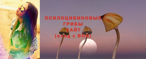 синтетический гашиш Каменка