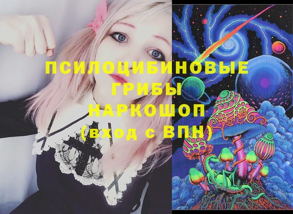 гидра Каменск-Шахтинский
