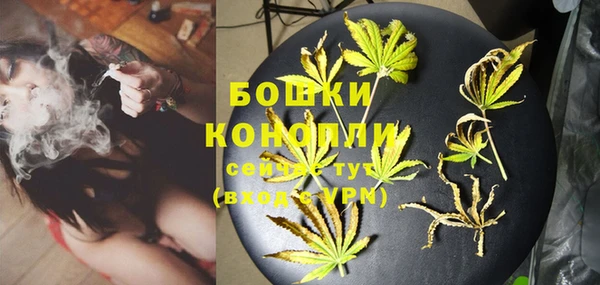 гидра Каменск-Шахтинский