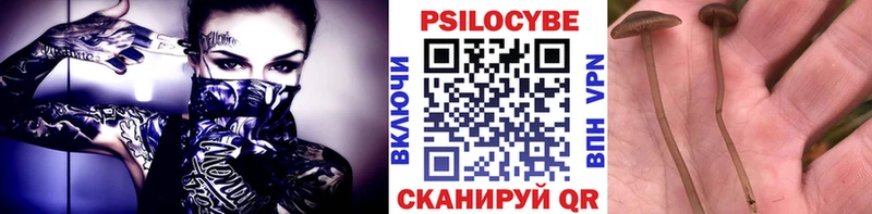 Галлюциногенные грибы Psilocybine cubensis  что такое наркотик  Красноуральск 